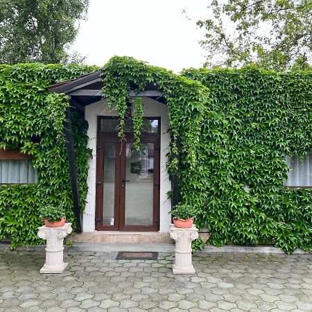 Vila Toscana ทิมิชัวรา ภายนอก รูปภาพ