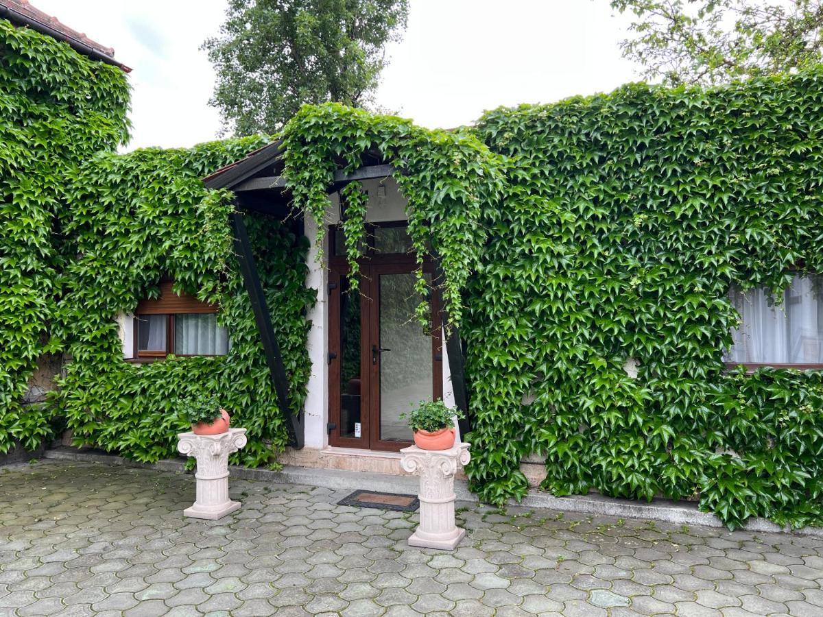 Vila Toscana ทิมิชัวรา ภายนอก รูปภาพ